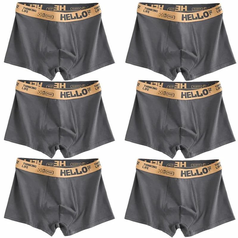 6pieces Mens Underwear Men Cotton Underpants Male Pure Men Panties Shorts Breathable Boxer Shorts Comfortable soft Plus size