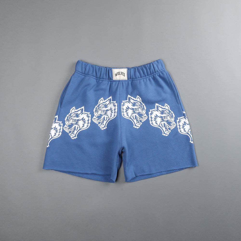 2024 Summer New Men's Shorts Cotton Casual Bodybuilding Sports Shorts Jogger Gym training Running Fitness Man Shorts