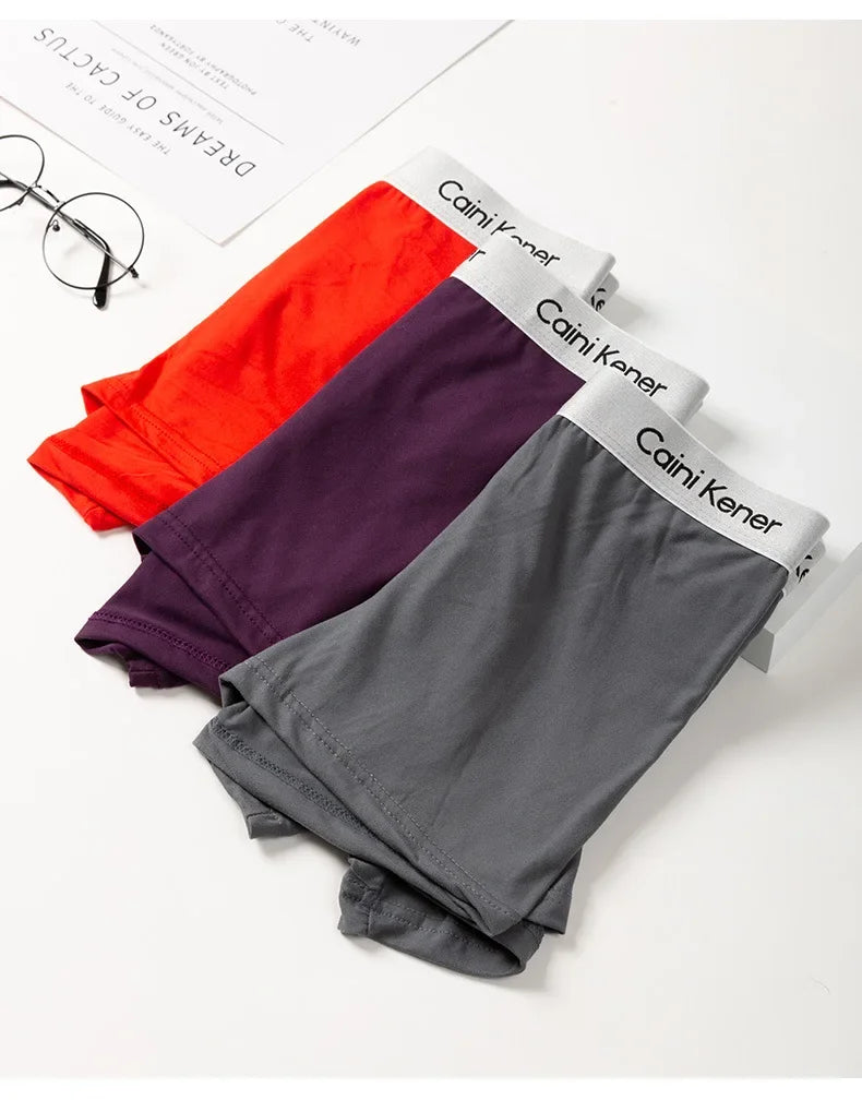 4/5Pcs/Men's Shorts Fashion Sexy Underwear Boxer Milk Silk Soft Fabric Men's Underwear Boxer Comfortable Breathable Boxer Shorts
