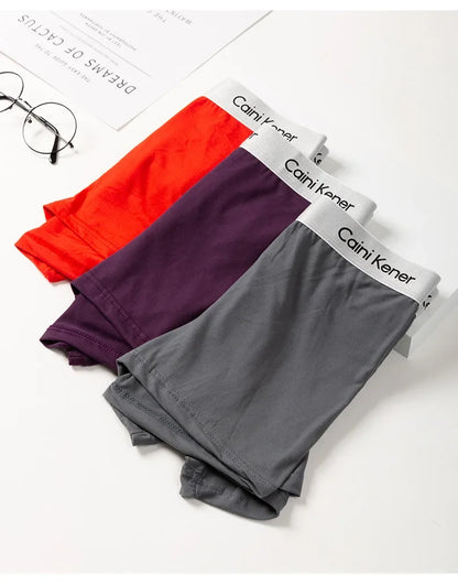 4/5Pcs/Men's Shorts Fashion Sexy Underwear Boxer Milk Silk Soft Fabric Men's Underwear Boxer Comfortable Breathable Boxer Shorts