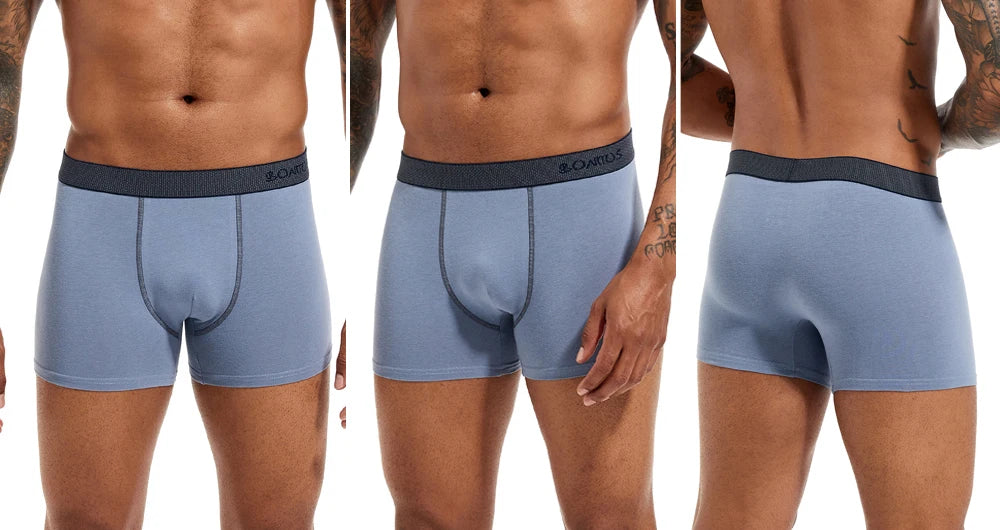 4pcs Boxers Men's Panties Underpants Man Boxer Underwear Cotton for Male Underpants Man Cotton Large Size Lot Soft