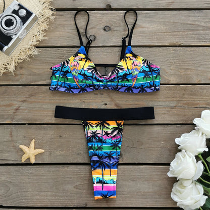 2024 New Sexy Brazilian Bikini Set Women Print Biquini Female Cut Bikinis Swimwear Push Up Swimsuit Bath Suit