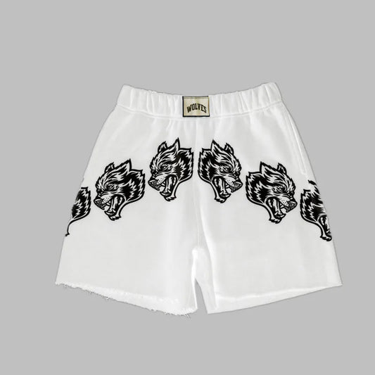 2024 Summer New Men's Shorts Cotton Casual Bodybuilding Sports Shorts Jogger Gym training Running Fitness Man Shorts